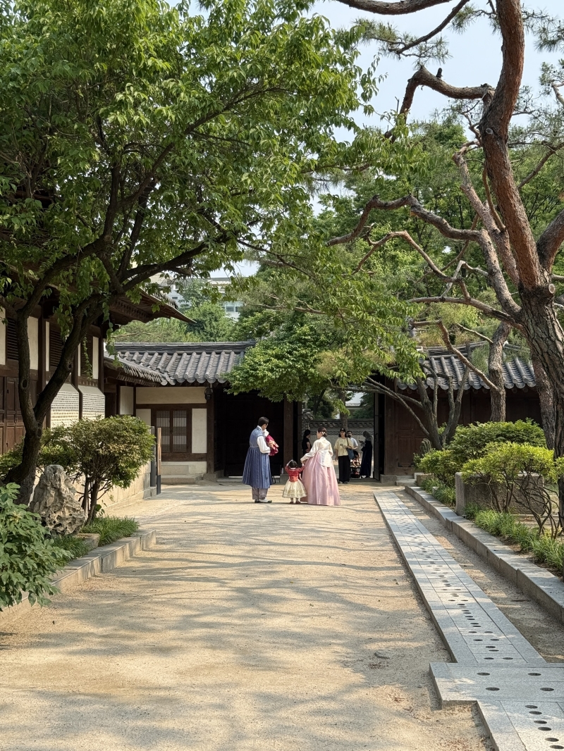 🇰🇷 韓國Lexis Seoul遊學分享