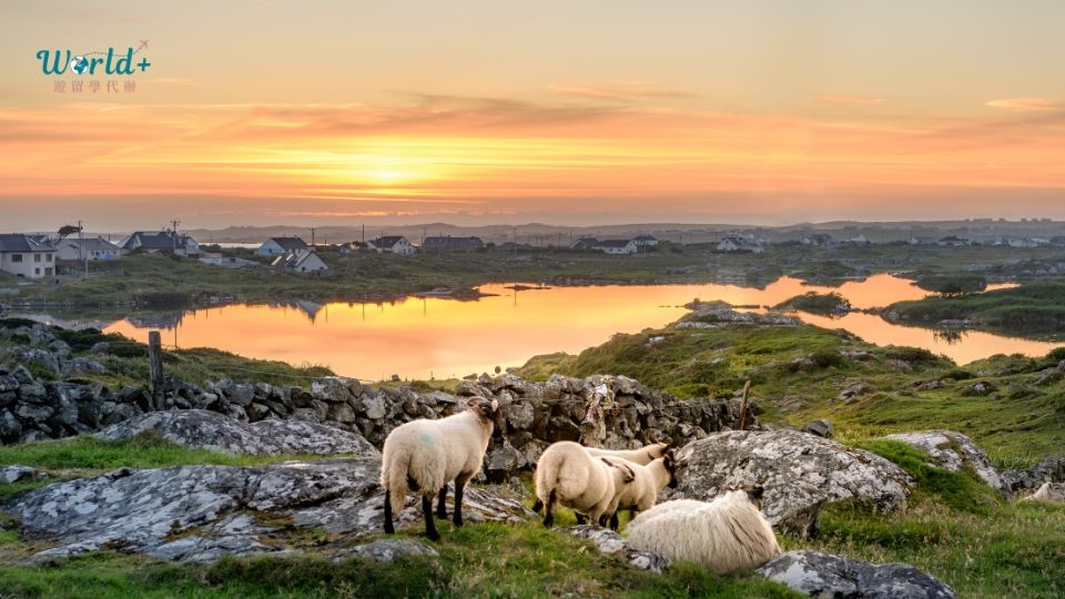 愛爾蘭遊學_代辦